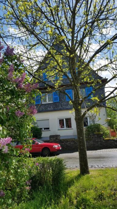 Ferienwohnung Alte-Schule-Kail Wohnung 2 Екстер'єр фото