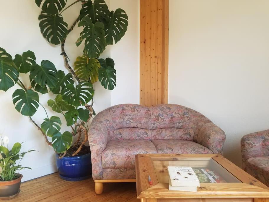 Ferienwohnung Alte-Schule-Kail Wohnung 2 Екстер'єр фото
